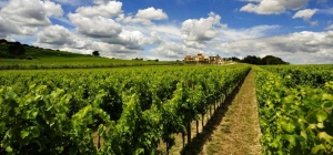 Italian Signature Wines Academy fa tappa in Umbria