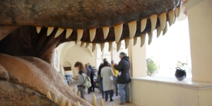 A Gubbio una mostra tra estinzione e dinosauri