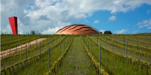 Il Carapace delle Tenute Lunelli sbarca alla Triennale di Milano