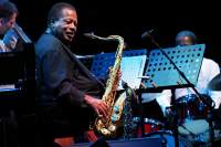 14 luglio / Wayne Shorter