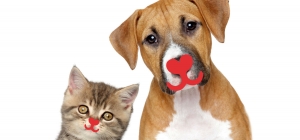 Perugia Pet Village arriva all’Umbriafiere