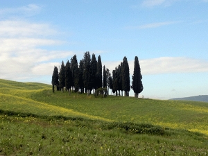 Beni Patrimonio dell’Umanità, questi sconosciuti