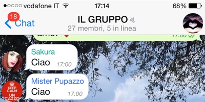 Il gruppo è vita