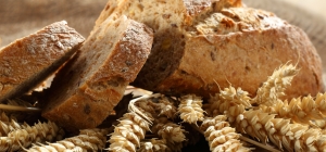 Bread Fest, Terni e il suo pane