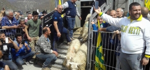 Dalla Sardegna arrivano le pecore per gli allevatori terremotati di Cascia