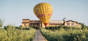 Sagrantino Italian International Balloon Challenge Cup