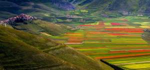 Castelluccio di Norcia||