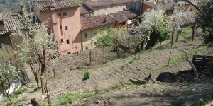 Orto Sole, l&#039;orto sociale di Perugia