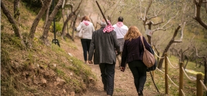 ‘Pic &amp; Nic a Trevi, arte, musica e merende tra gli olivi’