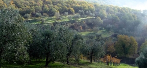 Paolo Morbidoni è il nuovo presidente delle Strade del vino e dell’olio dell’Umbria